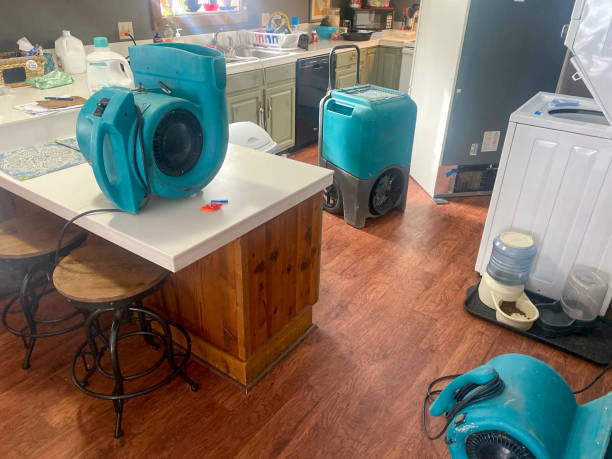 Best Flood damage cleanup  in Hayden, AL