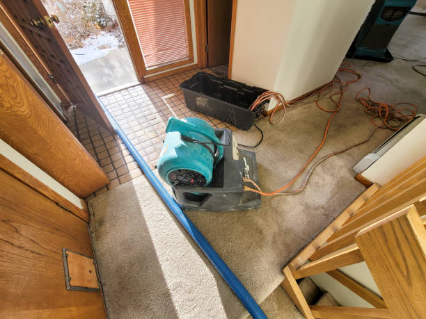 Best Fire Damage Restoration  in Hayden, AL